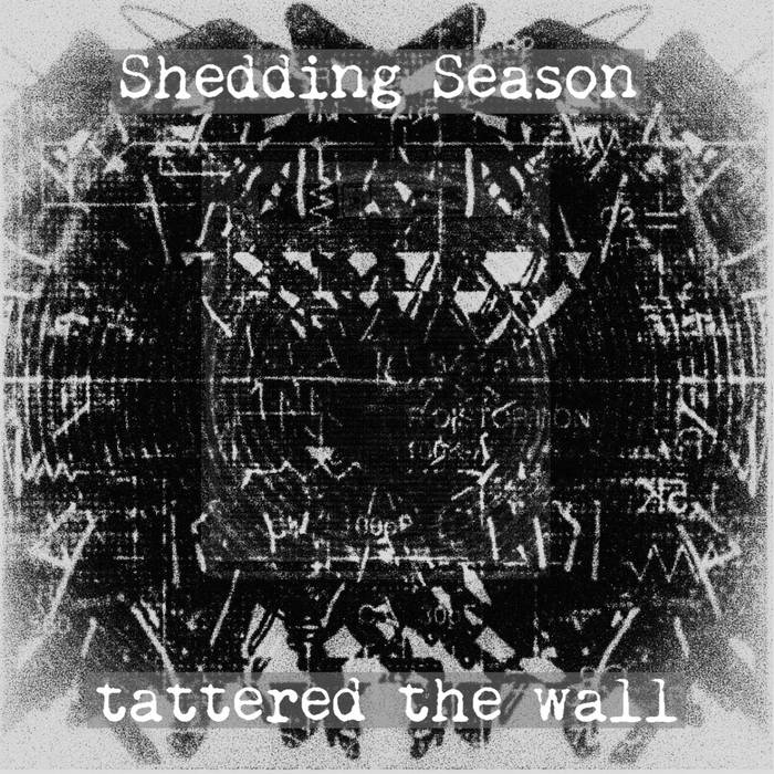 【アルバム紹介】tattered the wall、ノイズとスラッジの足し算だけではない何か GRUMBLE MONSTER