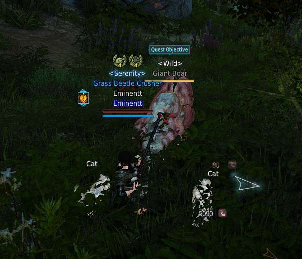 BDO Hunting Guide for Beginners GrumpyG