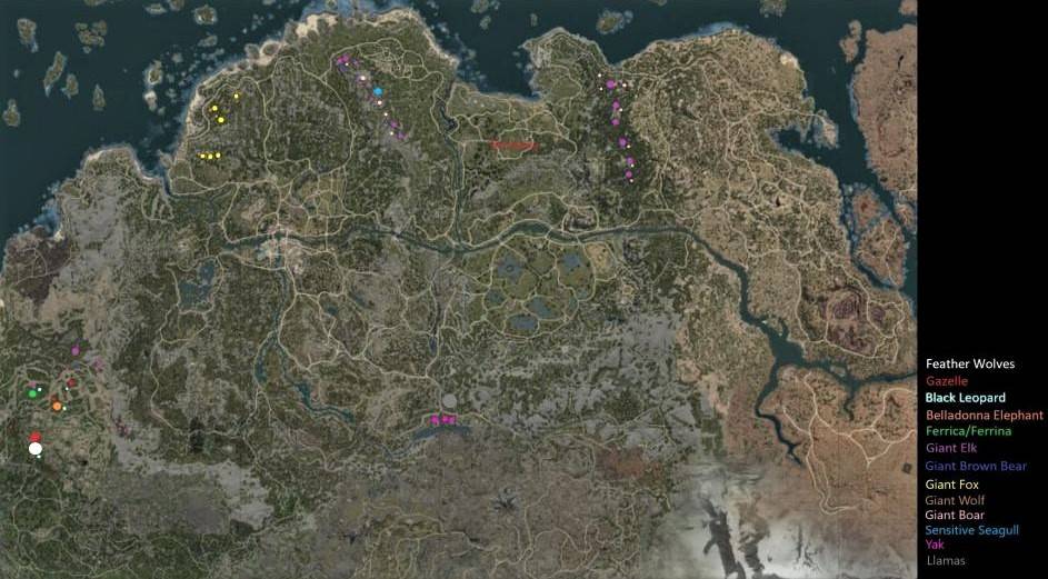BDO Hunting Location Map For Wild Animals GrumpyG