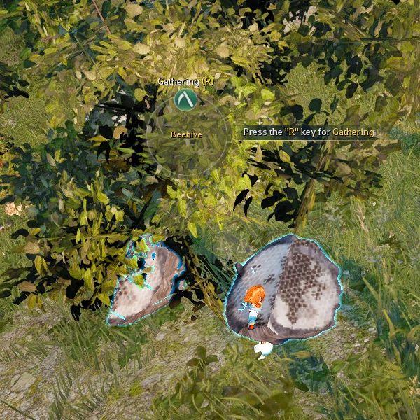 Rare Wild Hunting Mob Honeylicking Bear GrumpyG