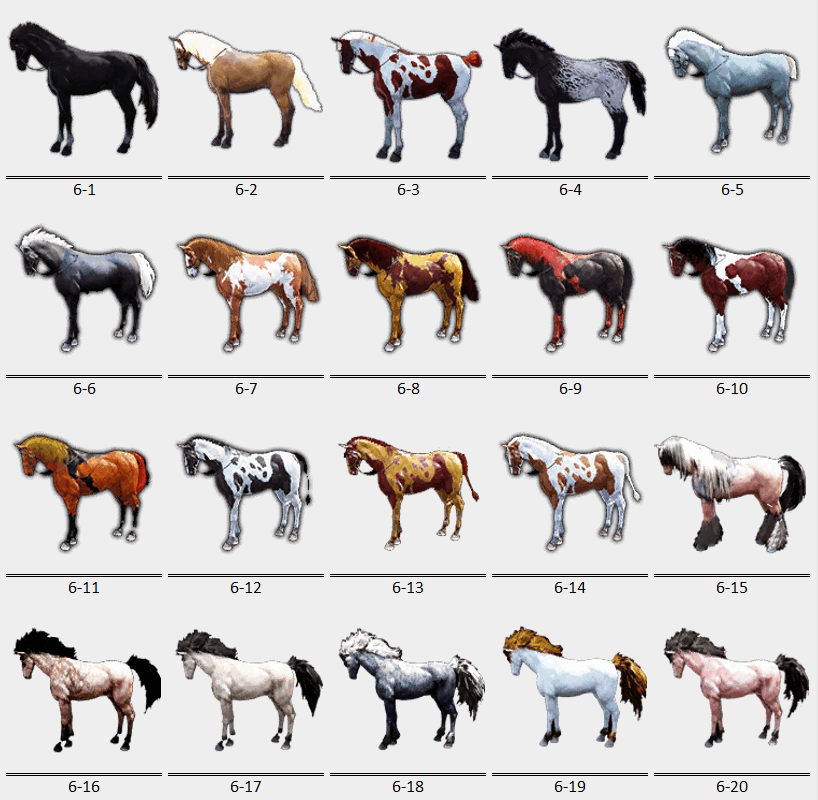 BDO Wild Horse Tiers with Appearance & Coats GrumpyG