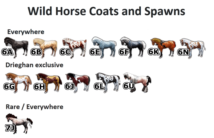 BDO Horse Taming How to Capture a Wild Stallion GrumpyG