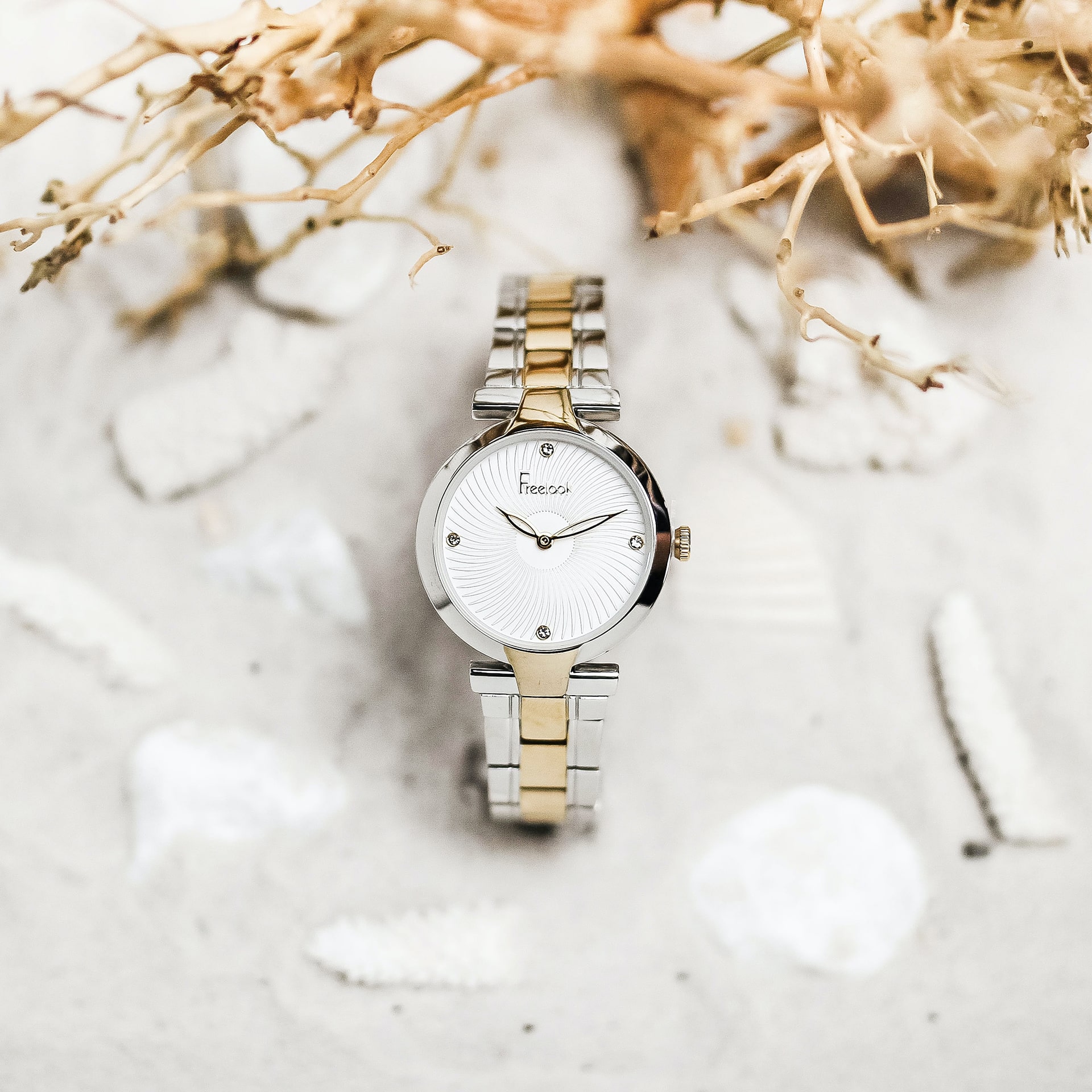 Watch Repair Grupo Capote