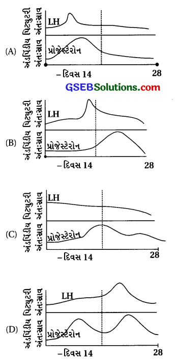 GSEB Std 12 Biology MCQ Chapter 3 માનવ-પ્રજનન in Gujarati 3