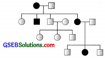 GSEB Std 12 Biology MCQ Chapter 5 આનુવંશિક્તા અને ભિન્નતાના સિદ્ધાંતો in Gujarati 6