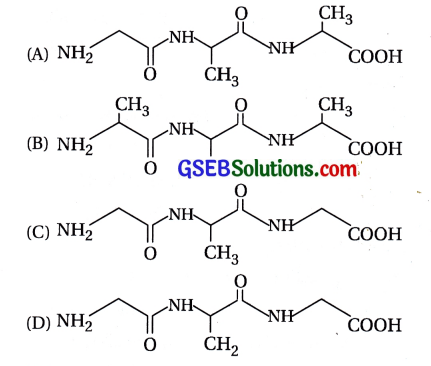 GSEB Std 12 Chemistry MCQ Chapter 14 જૈવિક અણુઓ in Gujarati 18