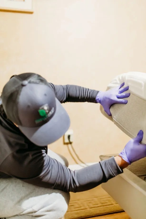 Green Shield Pest Control Lebanon Maine Lebanon Pest Control