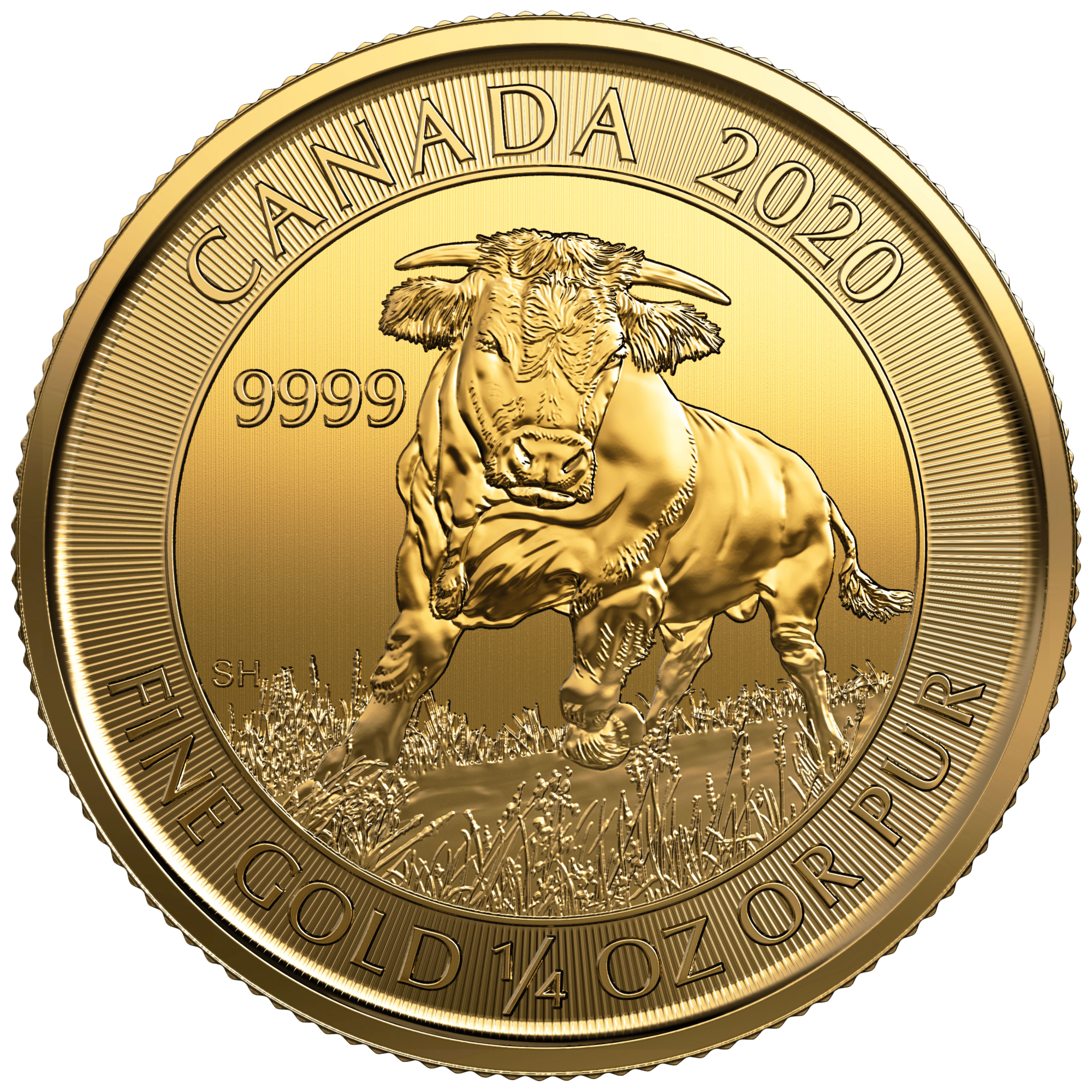 Gold Canadian Bull 1/4 Ounce Coin GSI Exchange