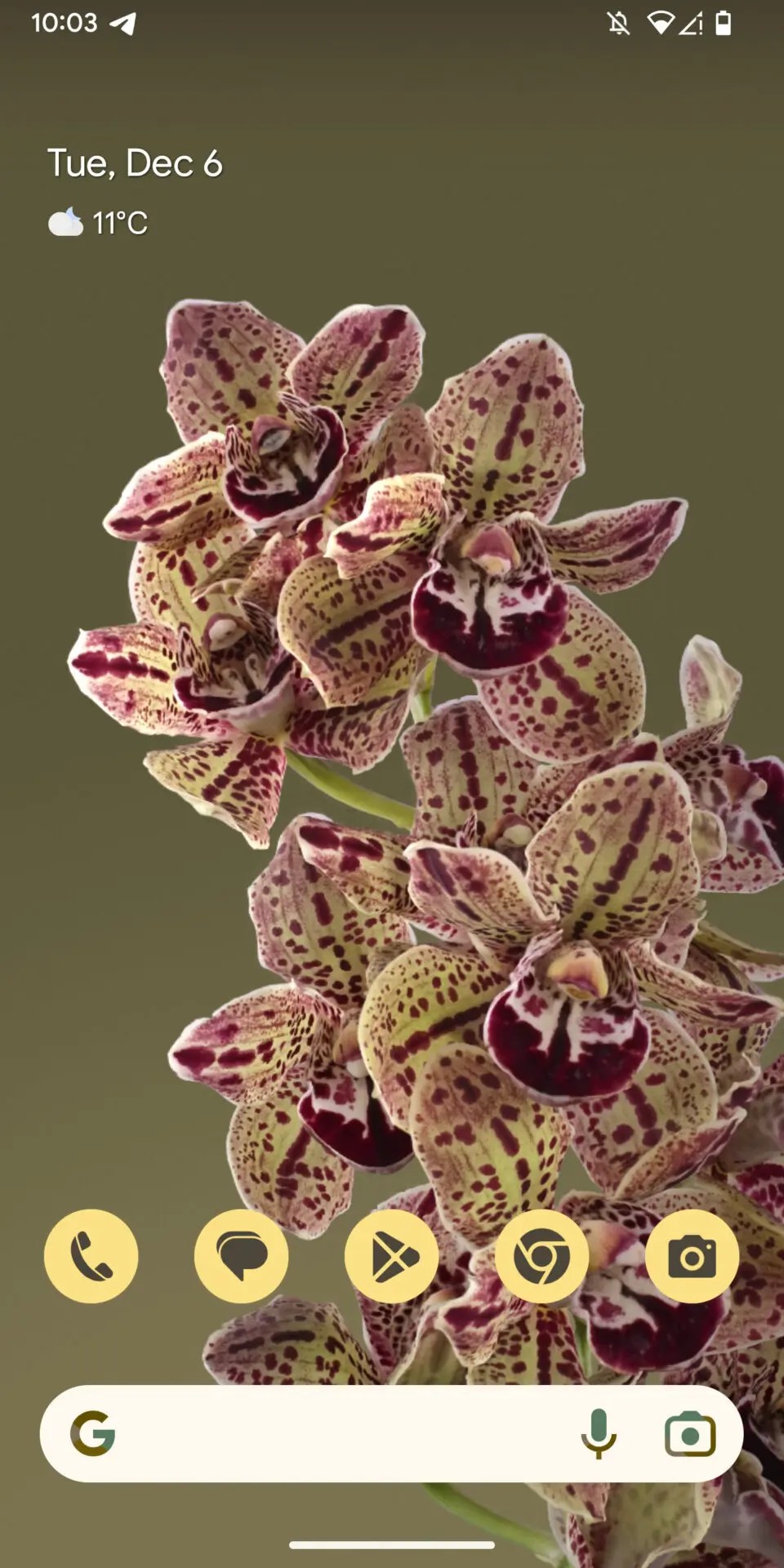 Google Pixel Live Wallpapers (1 to 7 Fold) APK’s for All Android Devices