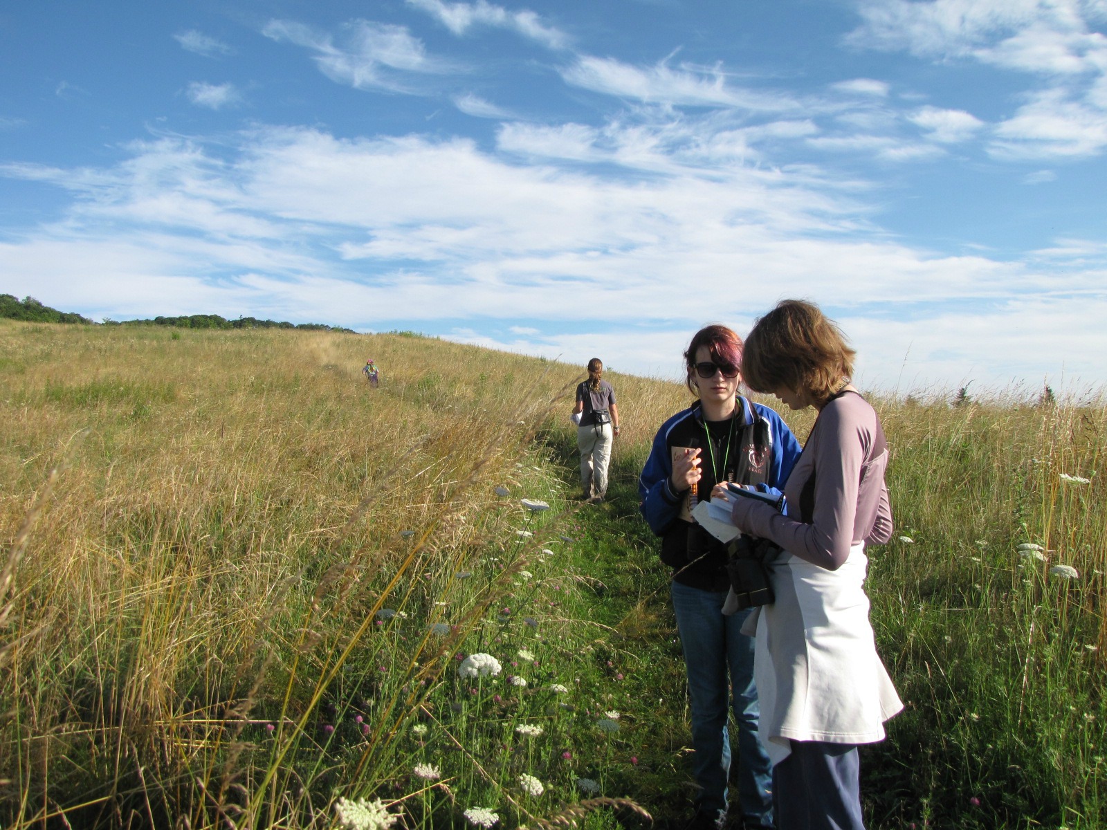 Tremont as an Idea Tremont Institute