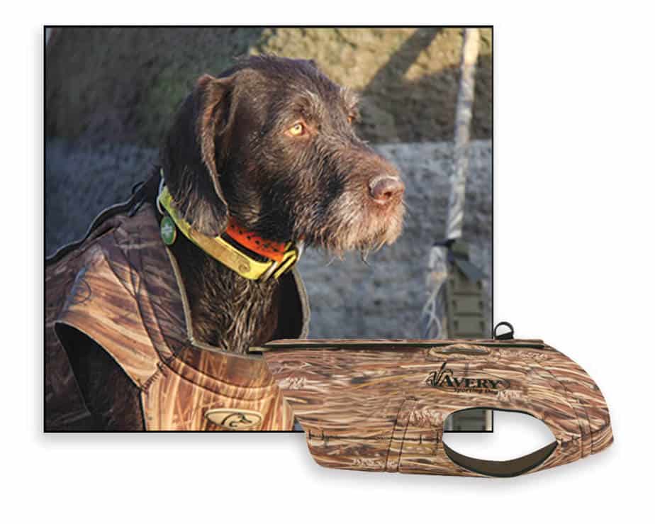 Finding The Right Neoprene Vest For A German Shorthaired Pointer GSP