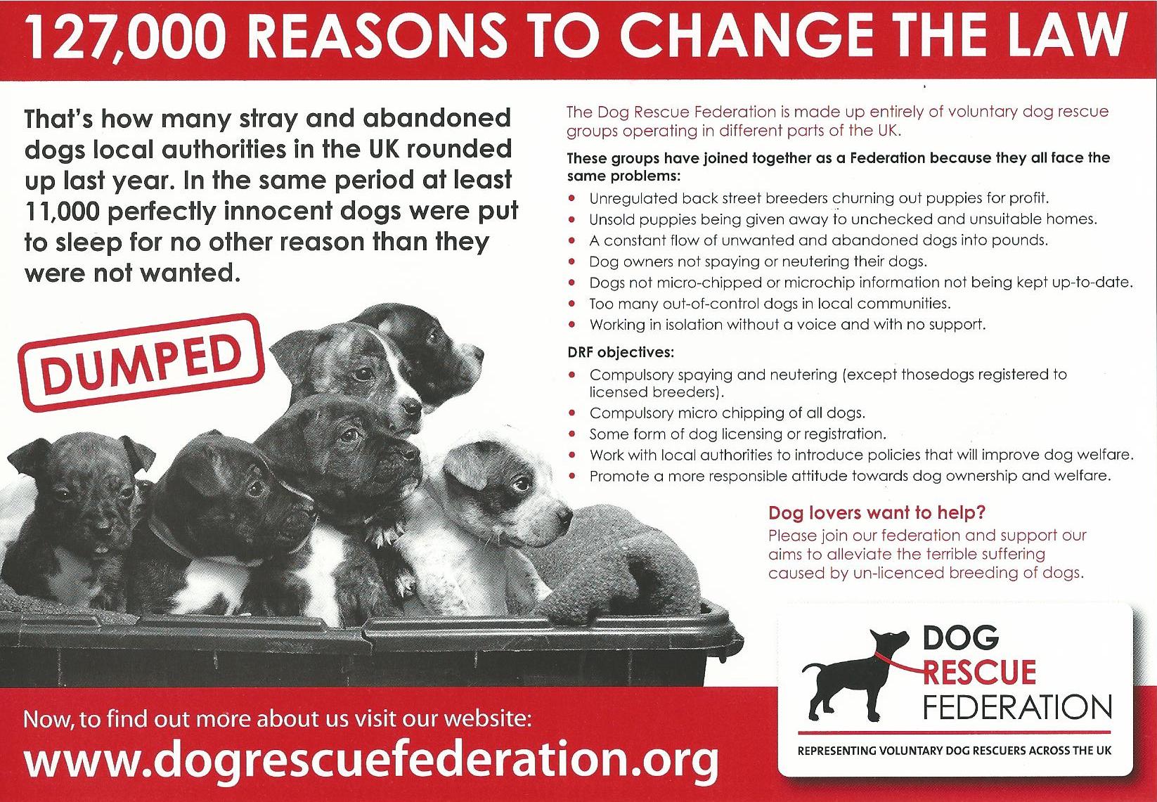 How Much Is A Dog Licence In Uk