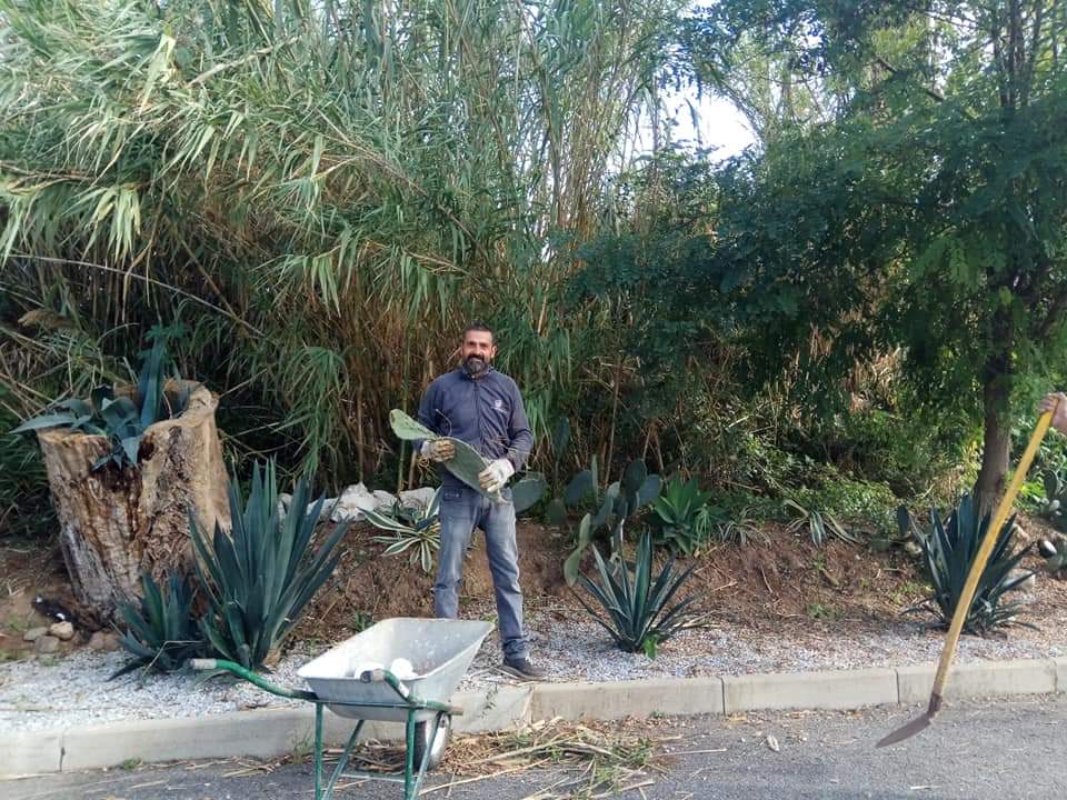 A Tropea Un Sindaco Dal Pollice Verde: Giovanni Macrì Si Improvvisa Giardiniere - Gazzetta Del Sud 720_x_960_jpg