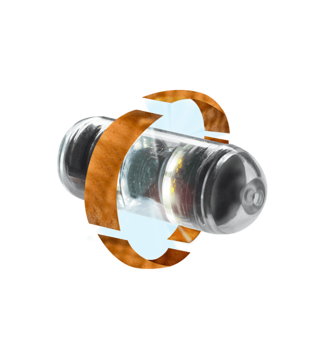 Capsule Endoscopy Global Technology