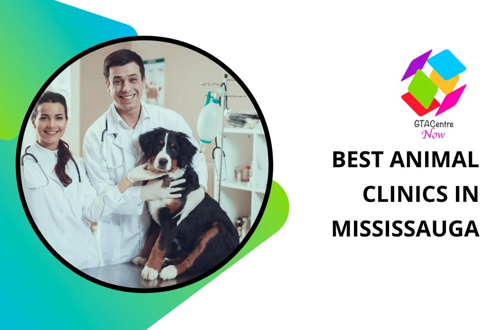 The 8 Best Animal Clinics in Mississauga [2023]