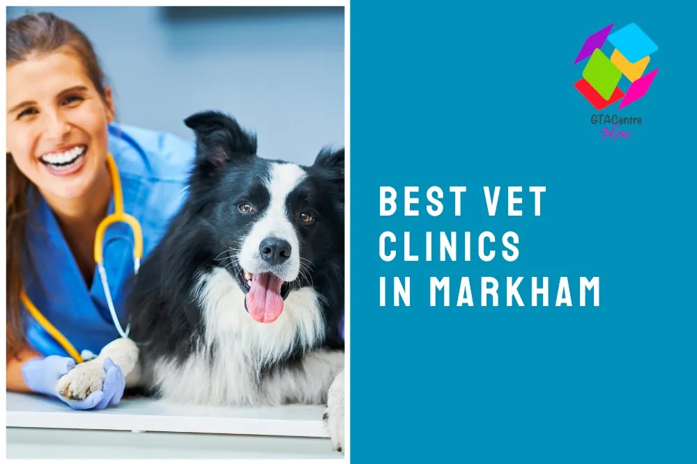 The 5 Best Vet Clinics in Markham