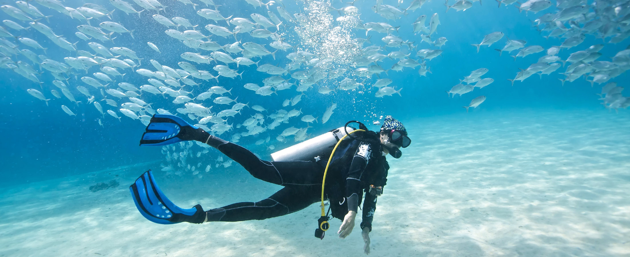 Scuba Diving Packages Global Travel International