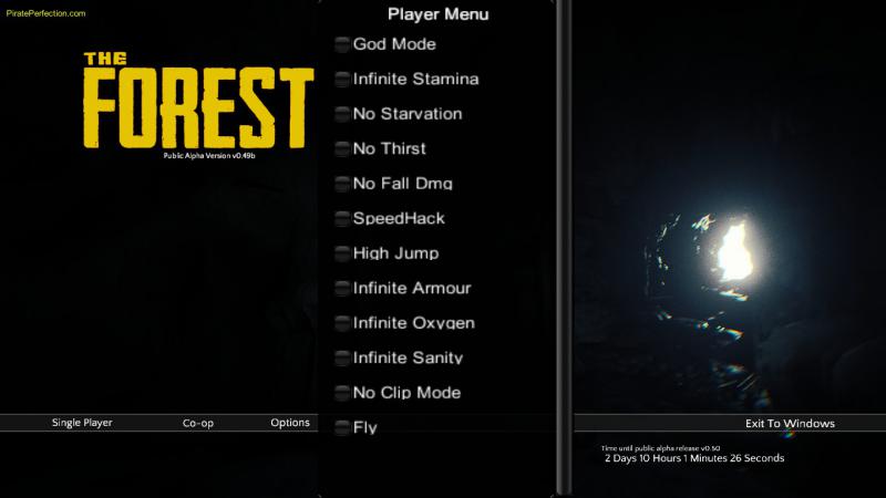 The Forest: Cheat-Mode (Pirate Perfection) [0.68b]