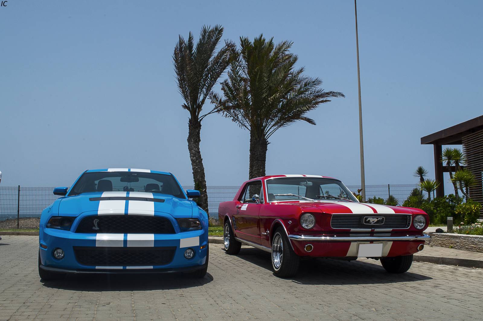 Gallery Cars and Tea Morocco GTspirit