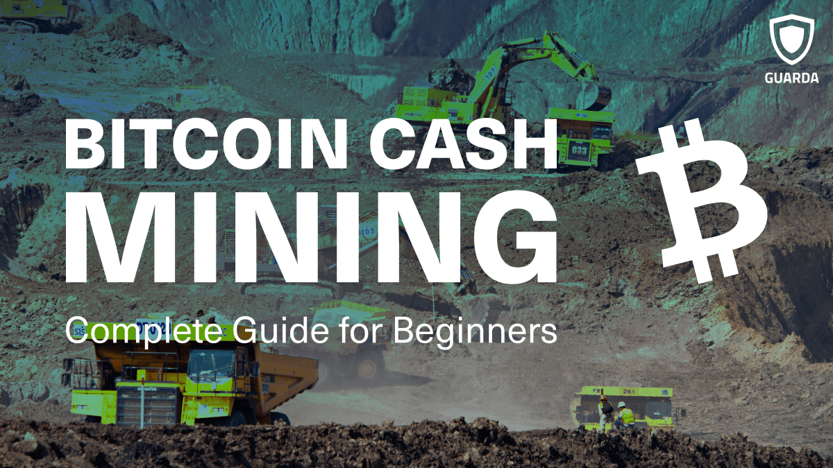 How to Mine Bitcoin Cash A Complete Guide for Beginners [2021