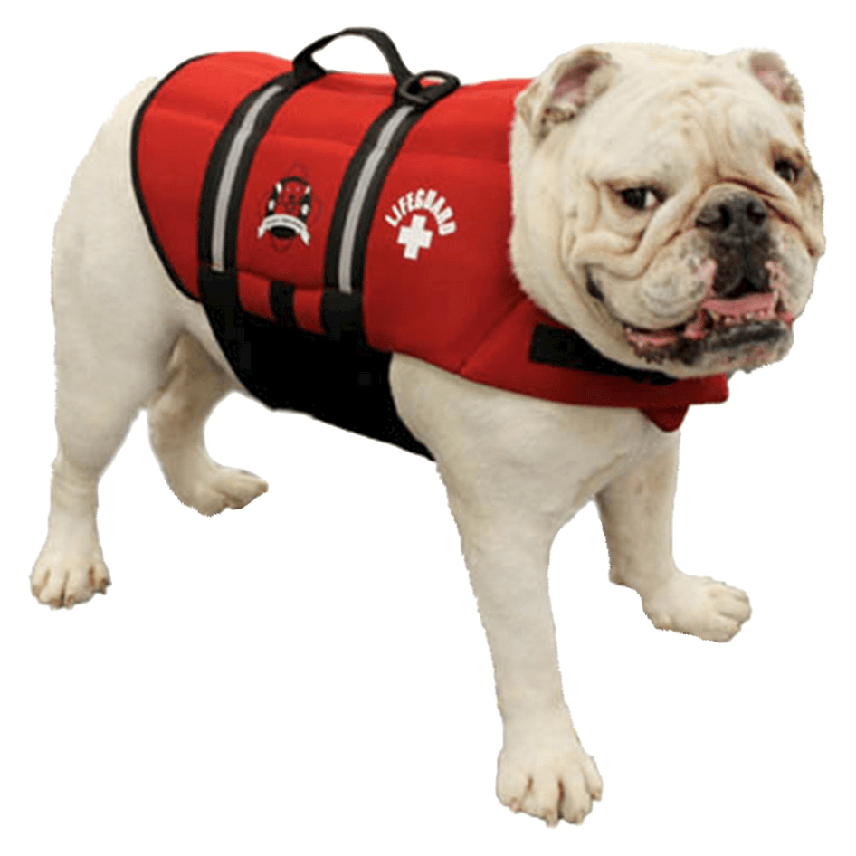 Top 5 Lifeguard Costumes Guard For Life