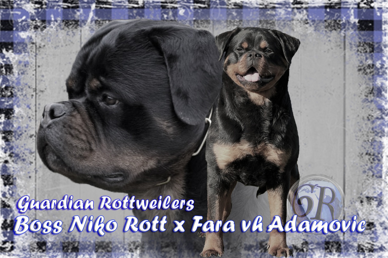 Boss x Fara Guardian Rottweilers