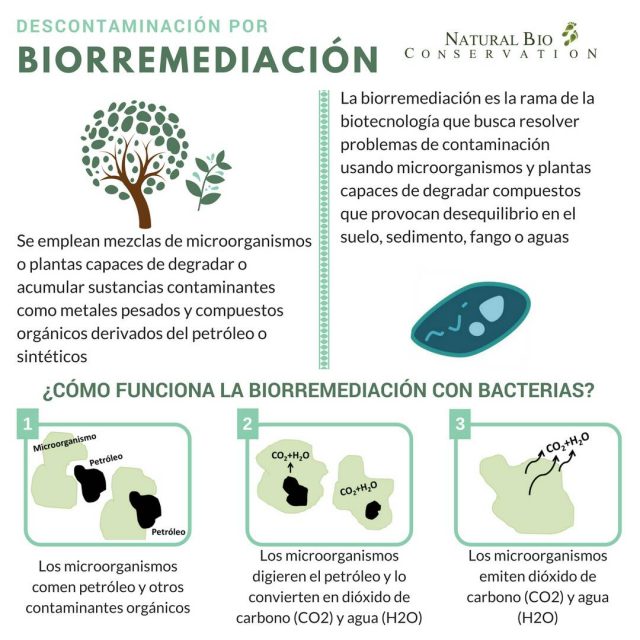 Biorremediación Así recuperaremos a Venezuela de los