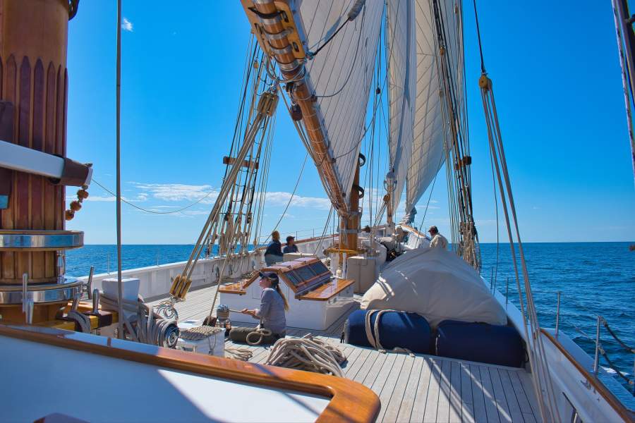 How Much Does It Cost to Maintain a Boat and Keep it Clean