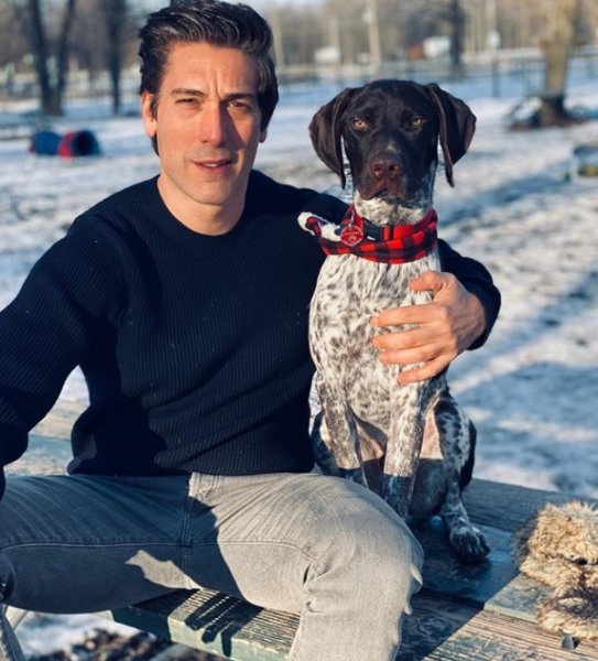 Is David Muir Married? Biography, Rumours and Love life(020)