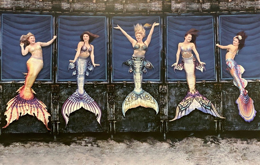 The Mermaids of Weeki Wachee InDepth