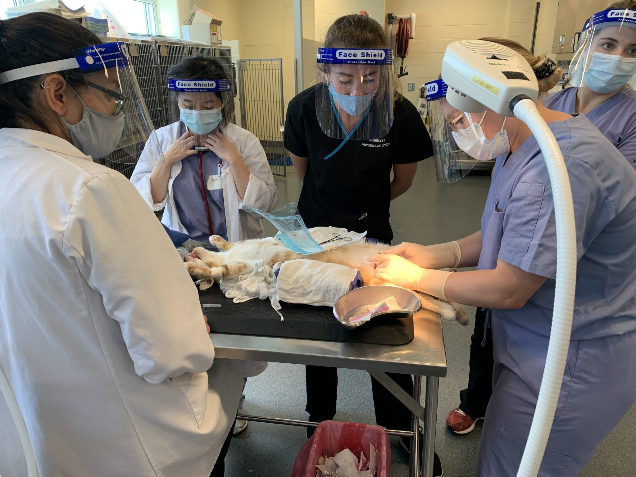 NEWS RELEASE Guelph Humane Society’s lowcost spay/neuter program