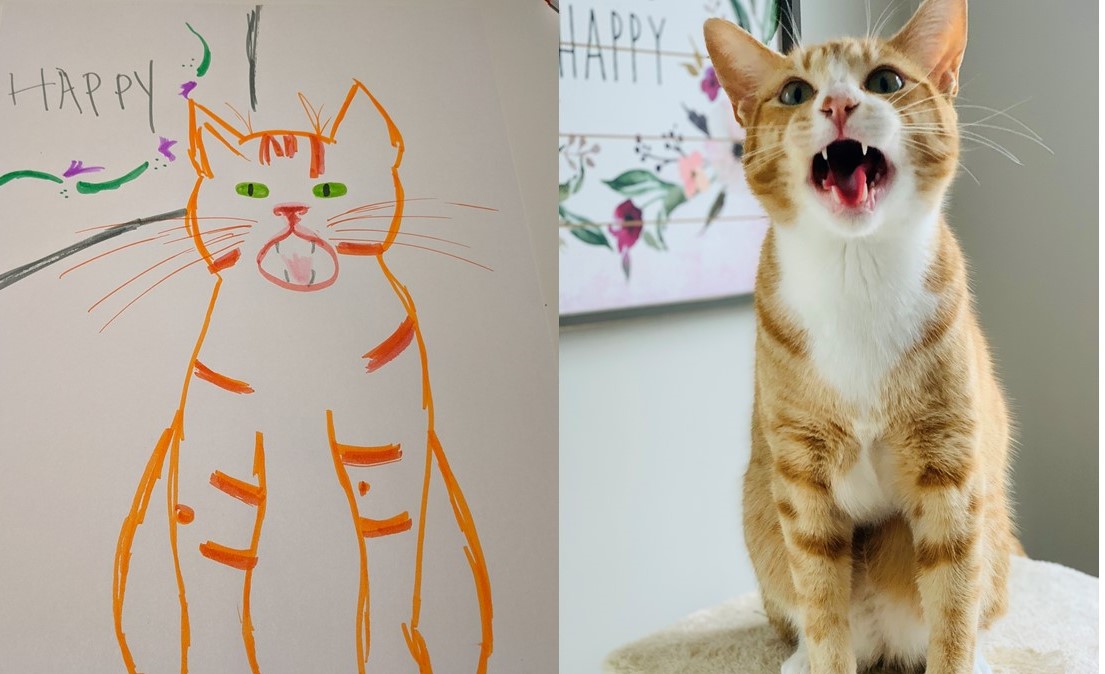 Get your very own (Bad) Pet Portraits! Guelph Humane Society