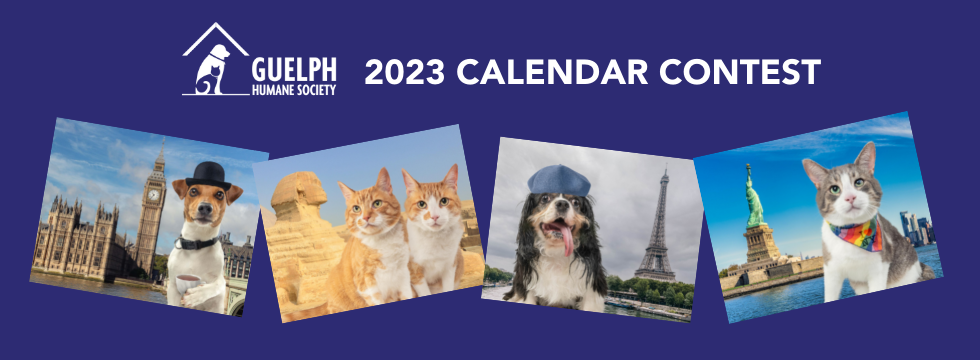 ghs 2023 Ghs 2023 Calendar Contest – Guelph Humane Society