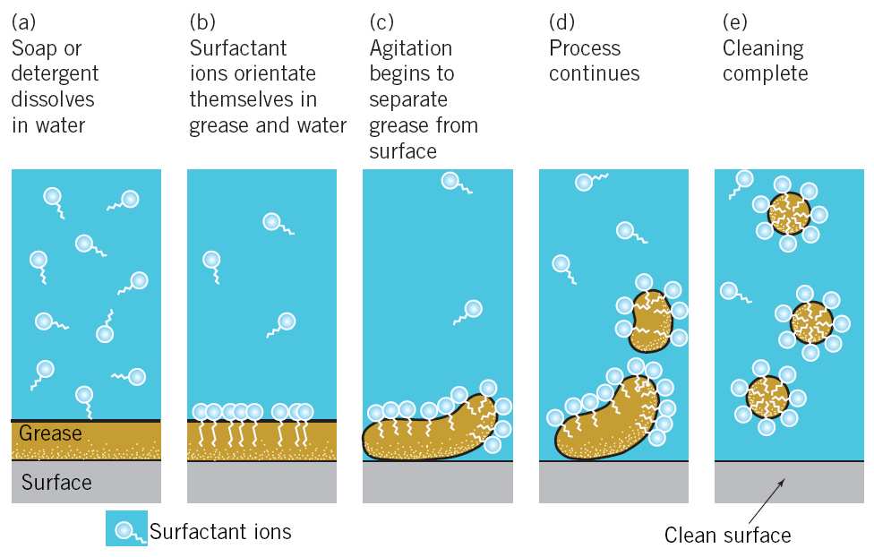 How does soap work?