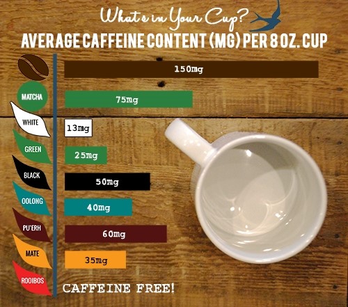 Does Tea Have More Caffeine than Coffee?