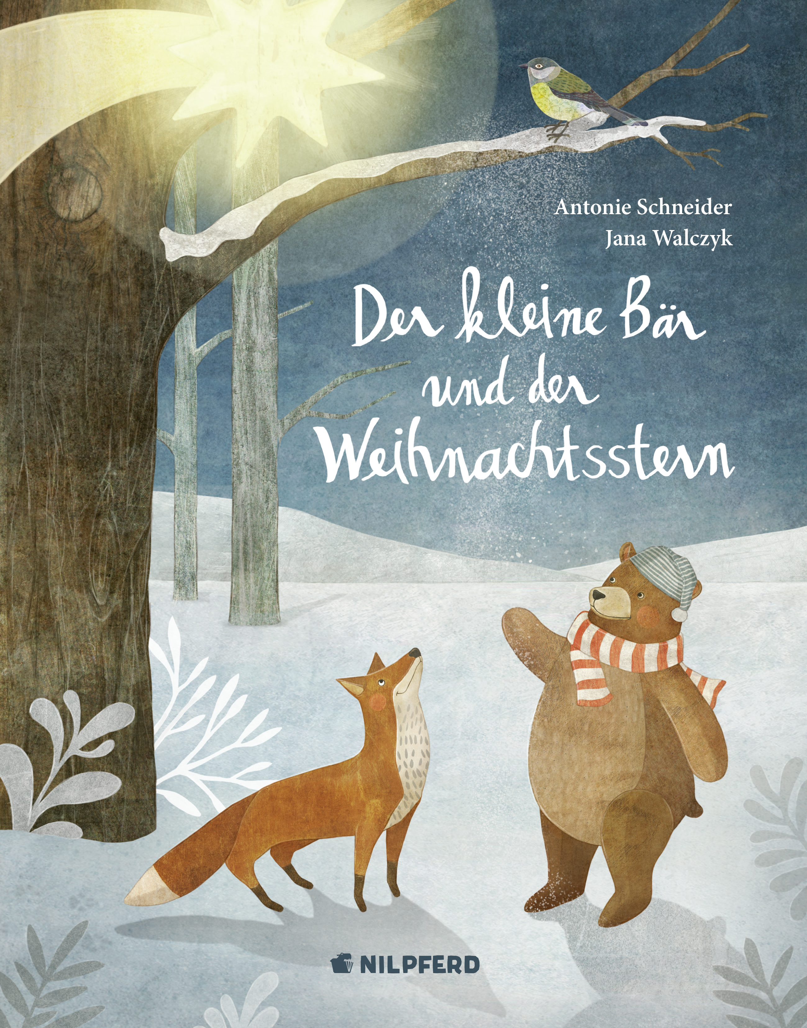 Der kleine Bär und der Weihnachtsstern G&G Kinderbuchverlag