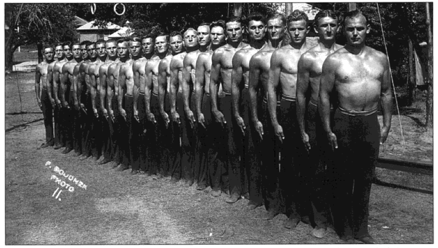 Subaltern Cultures of Nature in Industrial Chicago Global Urban History