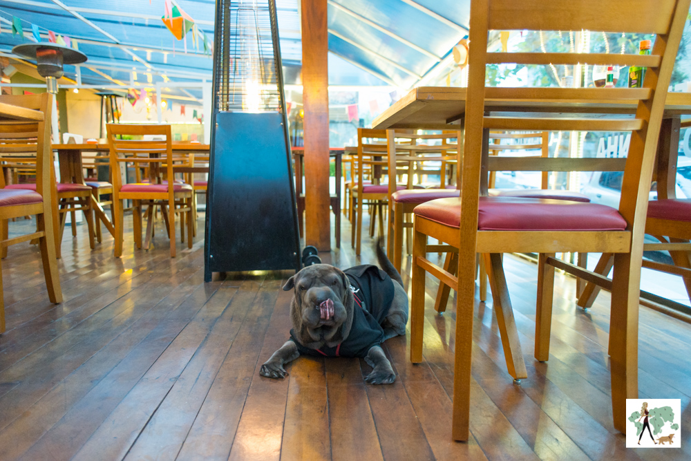 Restaurantes pet friendly em Campos do Jordão Guia Pet Friendly
