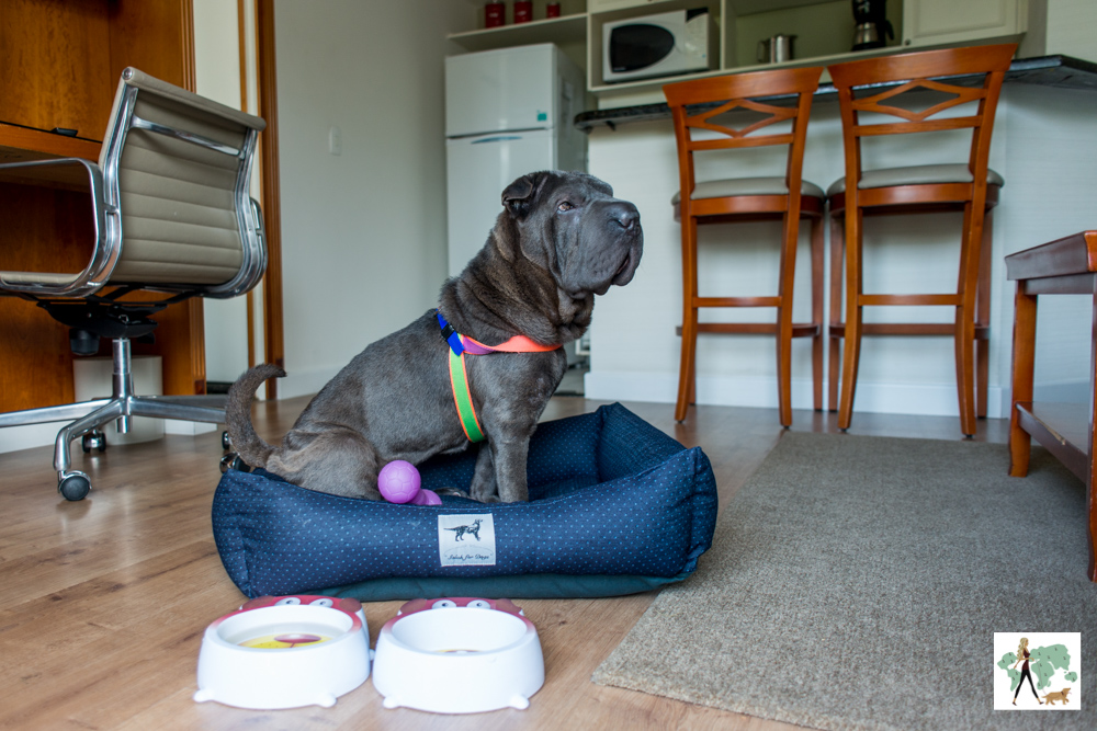 Marriott, apart hotel pet friendly, na Vila Nova Conceição Guia Pet