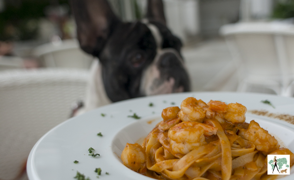 Pérgula, restaurante pet friendly no Rio de Janeiro Guia Pet Friendly