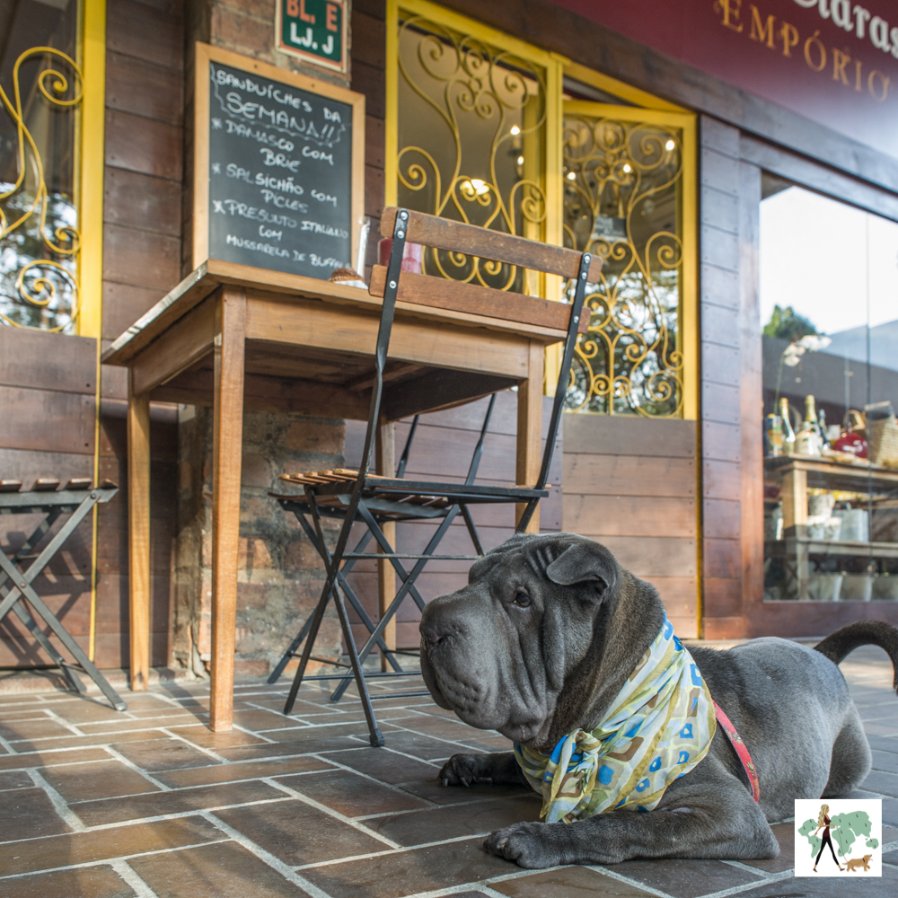 Três roteiros pet friendly no Rio Guia Pet Friendly