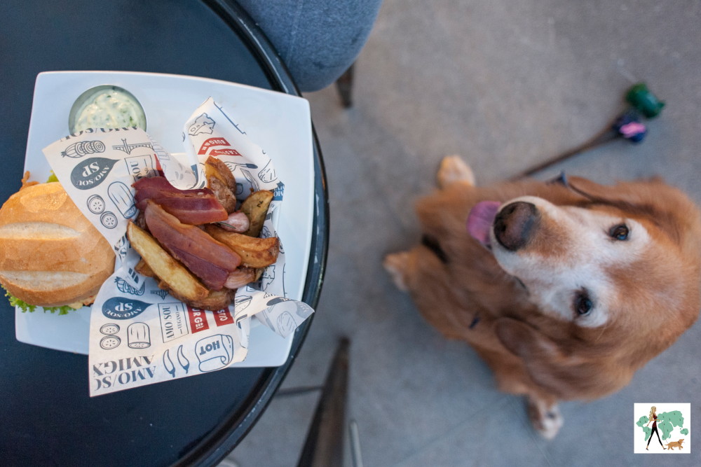 Castro Burger, hamburgueria pet friendly na Vila Mariana Guia Pet
