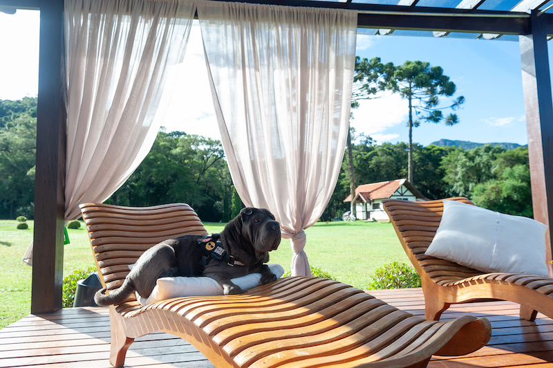 Rohsler, pousada pet friendly em Monte Verde Guia Pet Friendly