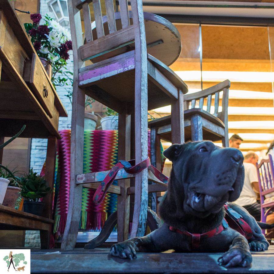 Org Bistrô Guia Pet Friendly