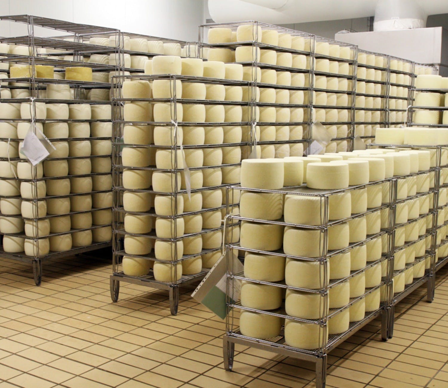 Visita a una fábrica de quesos cerca de Cagliari con talleres y