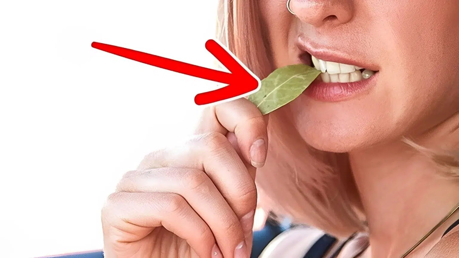 Beneficios de masticar hoja de laurel. Guía Saludable