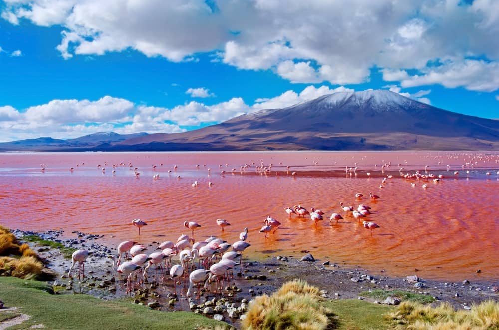 Salar de Uyuni (3 días) Compartido Guiastours.cl City Tour