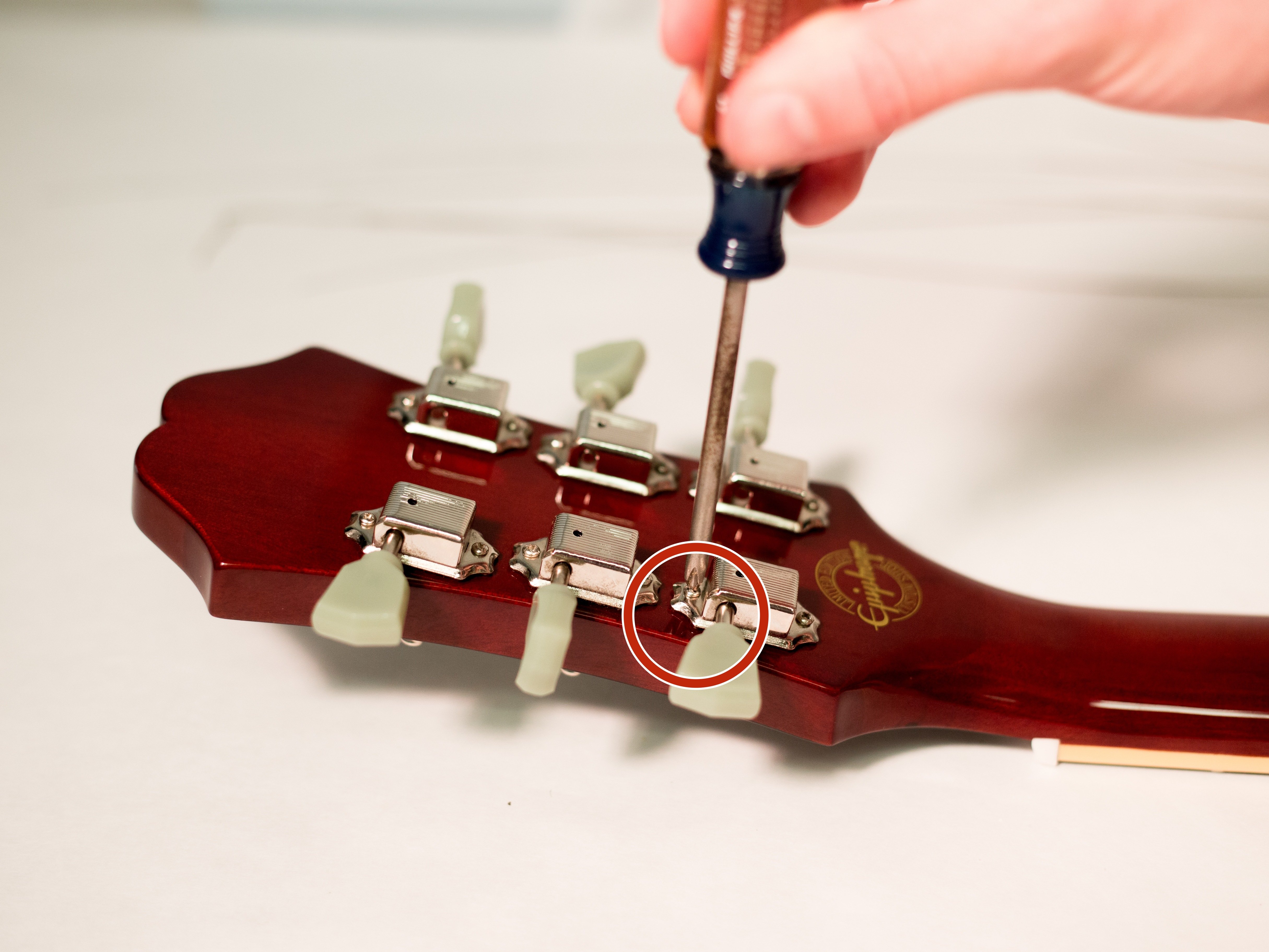 Epiphone Guitar Replacement Parts Reviewmotors.co