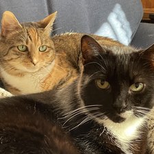 JYX-S55 Troubleshooting - iFixit