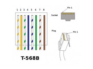 RJ45 Pinout Diagram, Colour Code, Wiring Diagram(cat, 51% OFF